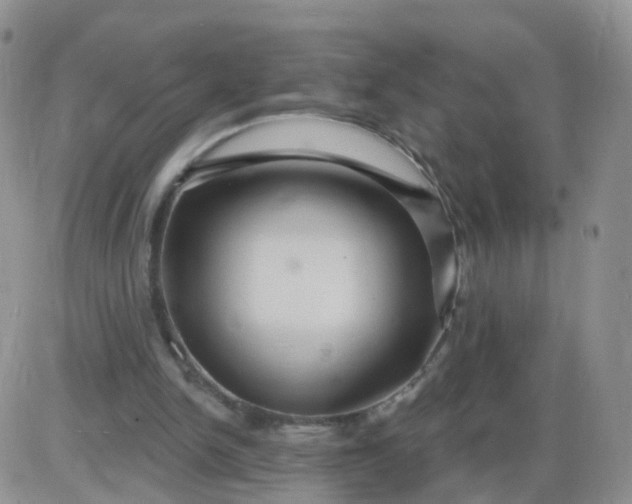 X0000085300150200703231907