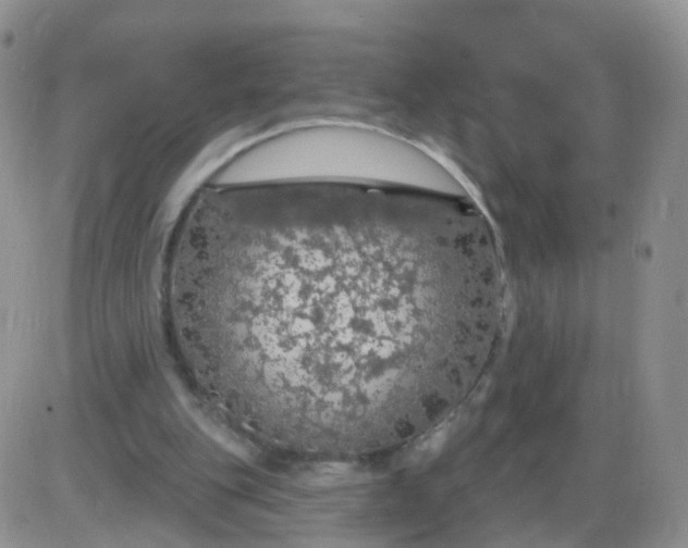 X0000085300151200703231907