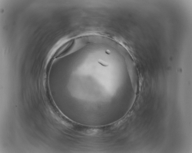 X0000085300152200703231907