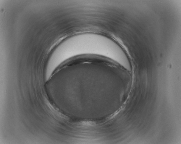 X0000085300154200703231907