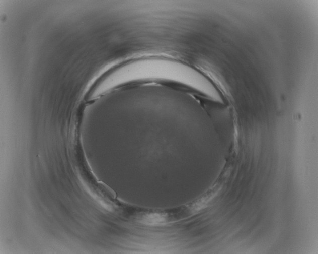 X0000085300156200703231907