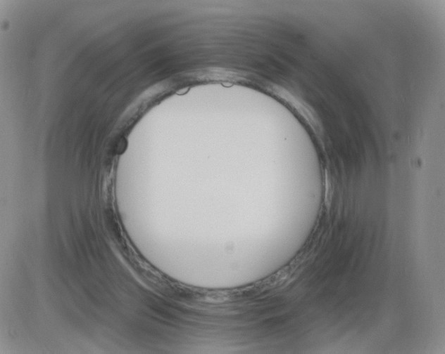 X0000085300157200703231907