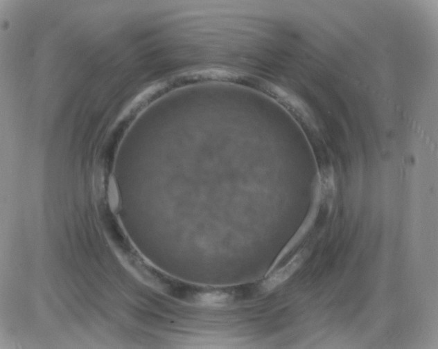 X0000085300158200703231907