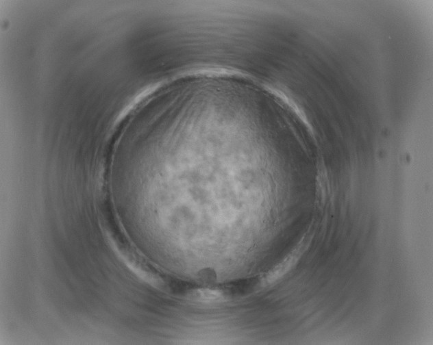 X0000085300159200703231907