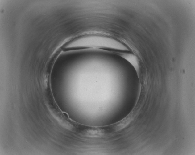 X0000085300160200703231907