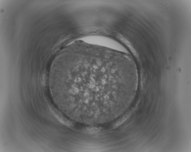 X0000085300161200703231907