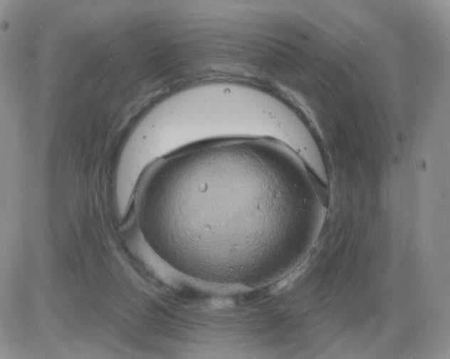 X0000085300162200703231907