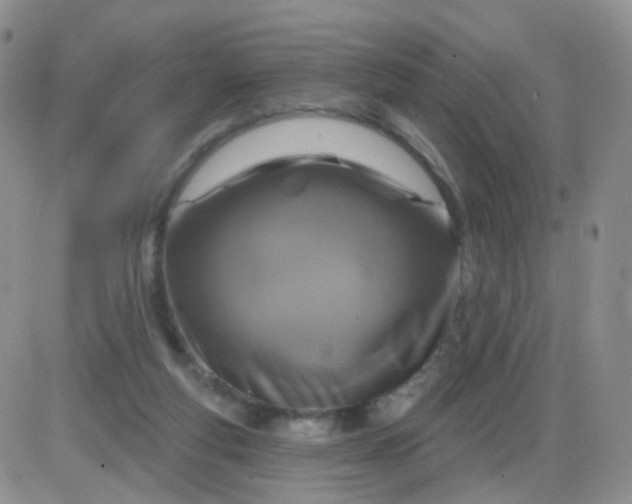 X0000085300163200703231907