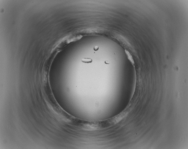 X0000085300164200703231907