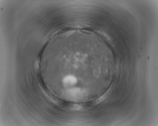 X0000085300166200703231907