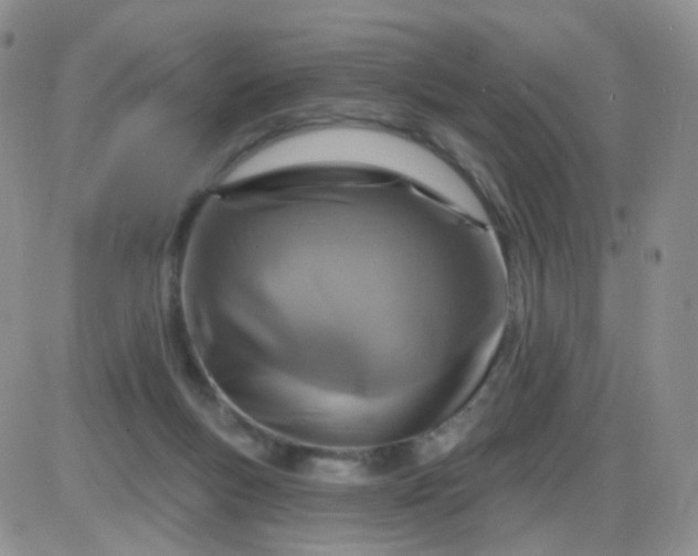 X0000085300167200703231907