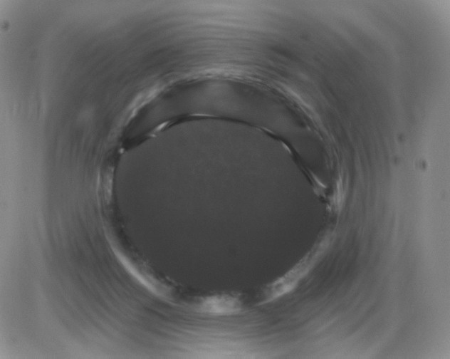 X0000085300168200703231907