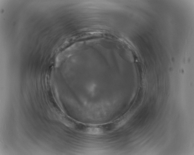 X0000085300169200703231907