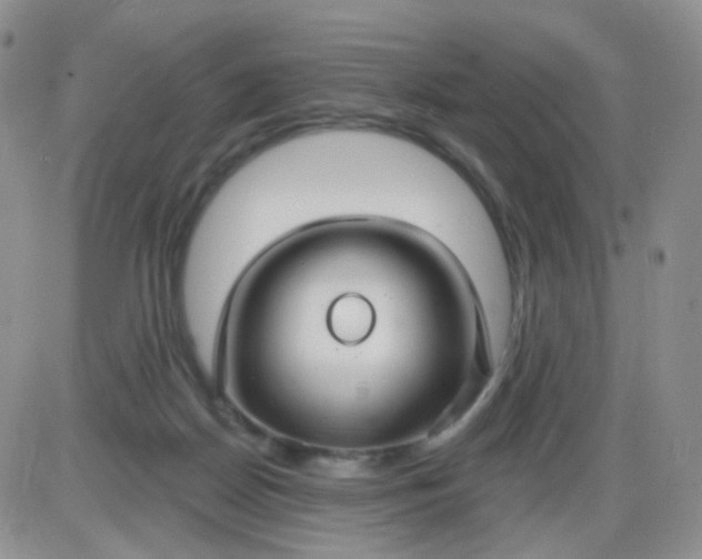 X0000085300170200703231907