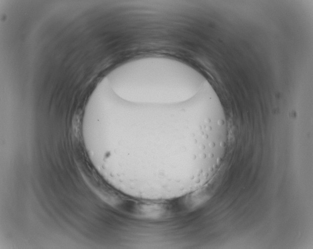 X0000085300171200703231907