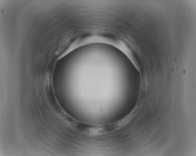 X0000085300172200703231907