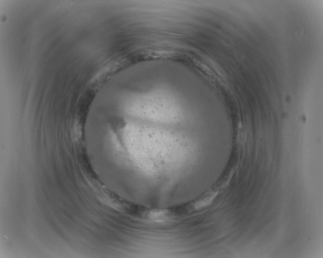 X0000085300173200703231907