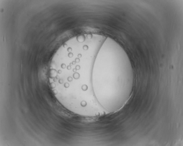 X0000085300175200703231907