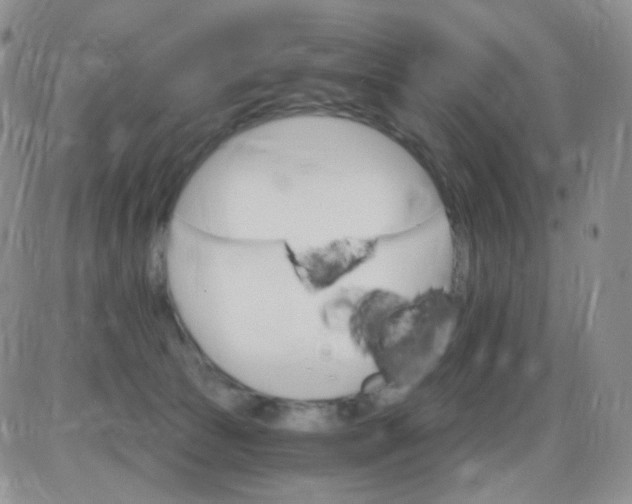 X0000085300177200703231907