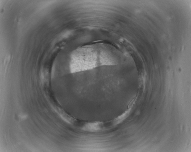 X0000085300178200703231907