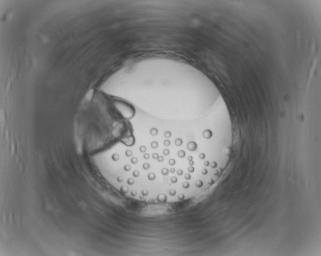 X0000085300179200703231907