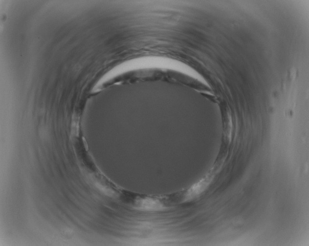 X0000085300180200703231907