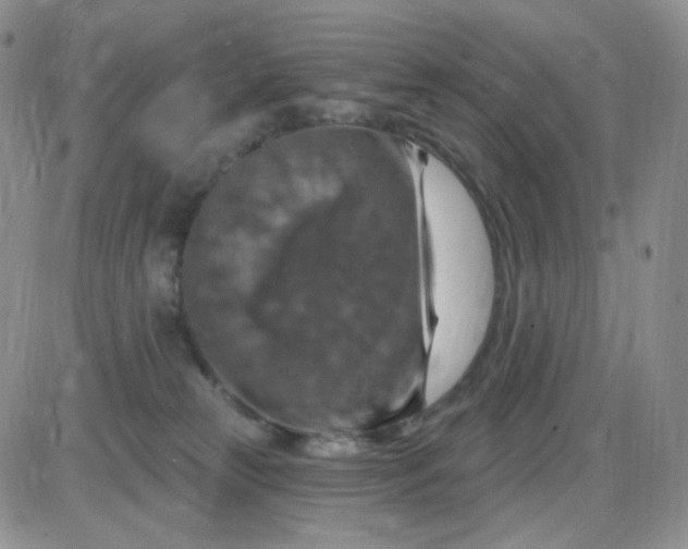 X0000085300181200703231907