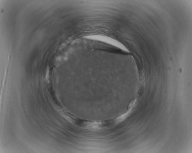 X0000085300182200703231907