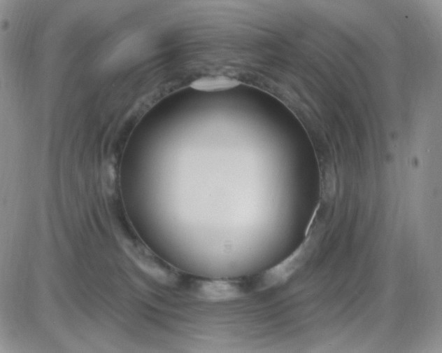 X0000085300183200703231907