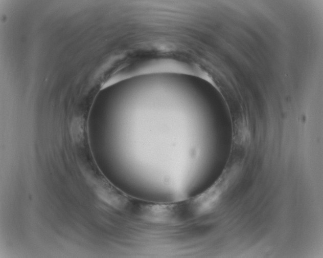 X0000085300184200703231907