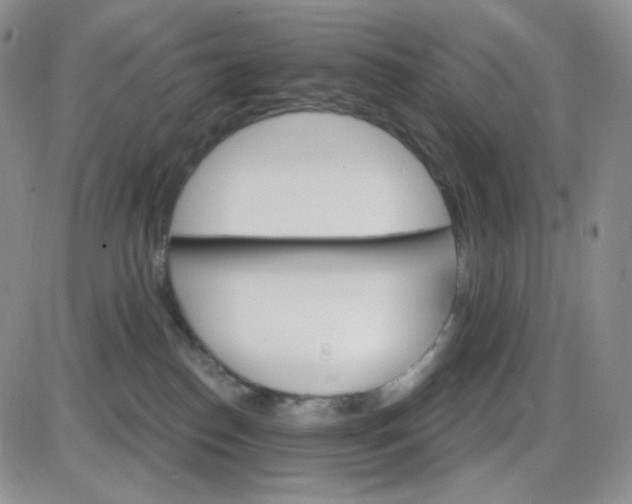 X0000085300186200703231907