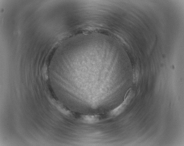 X0000085300187200703231907