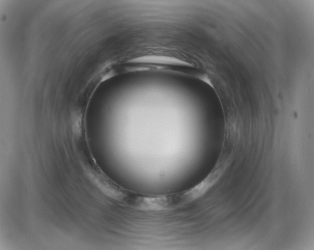 X0000085300188200703231907