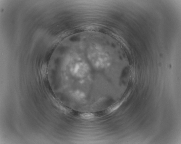 X0000085300189200703231907