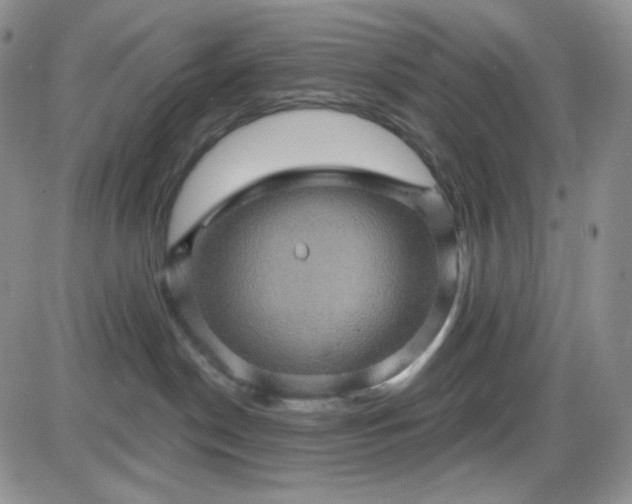 X0000085300190200703231908