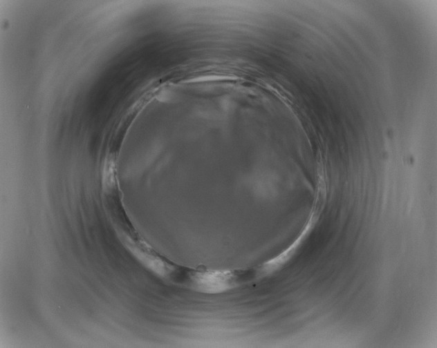 X0000085300191200703231908