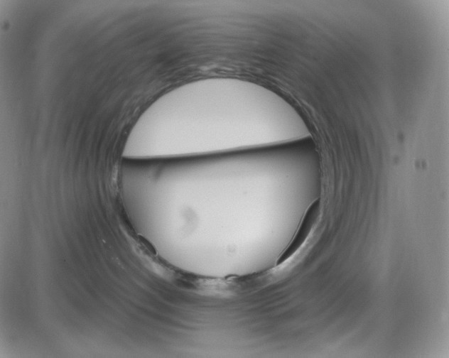 X0000085300192200703231908