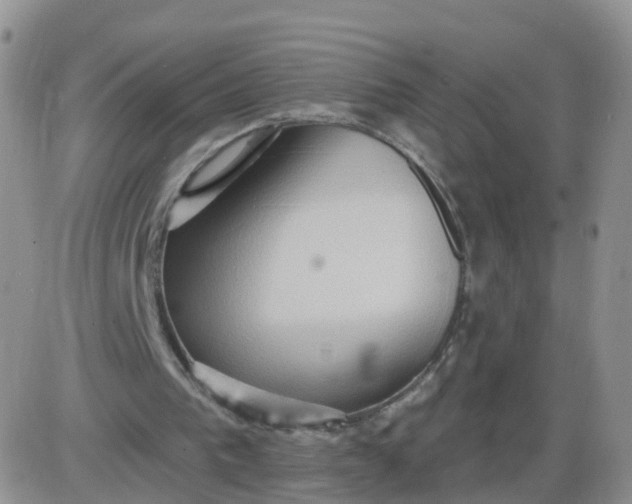 X0000085300193200703231907