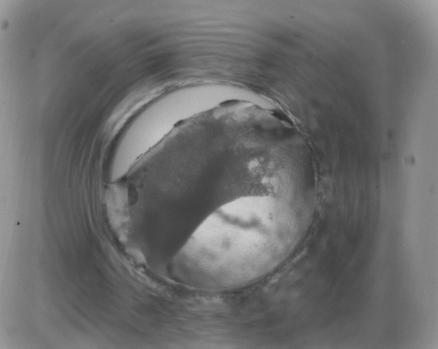 X0000085300194200703231907