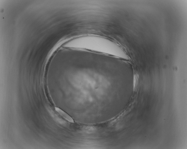 X0000085300195200703231907