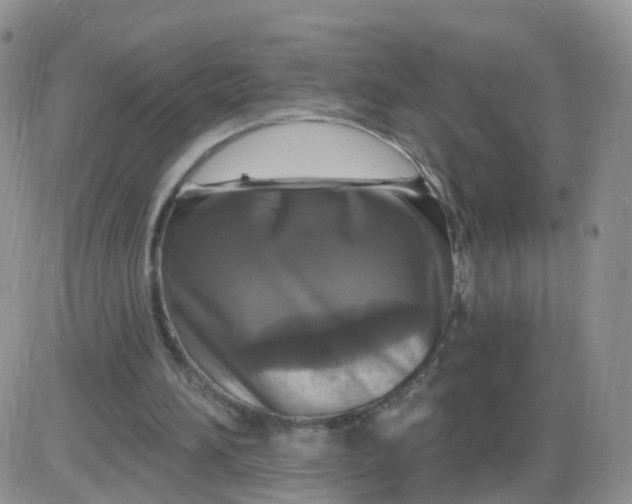 X0000085300196200703231907