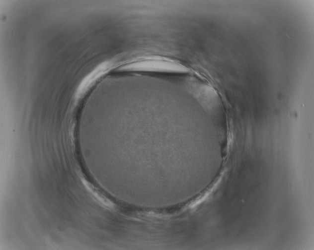 X0000085300197200703231907