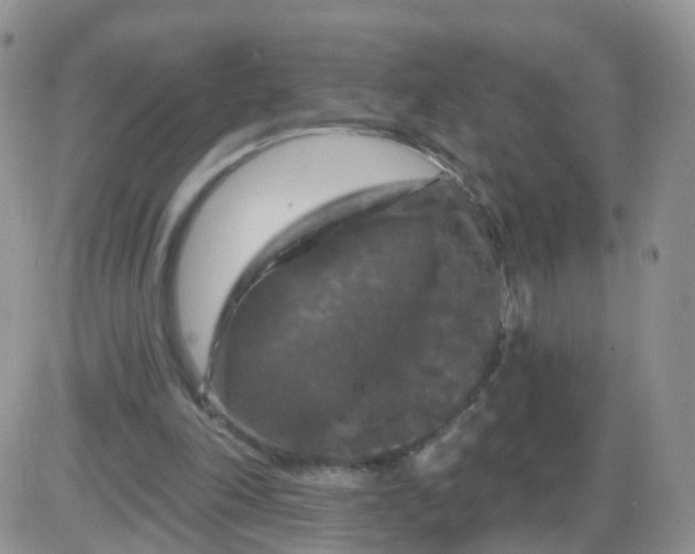 X0000085300198200703231907