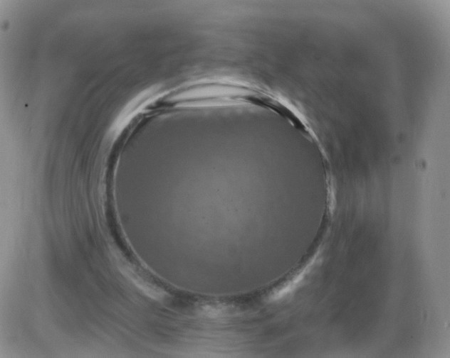 X0000085300199200703231907