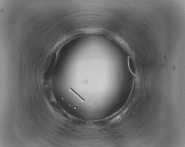 X0000085300201200703231907