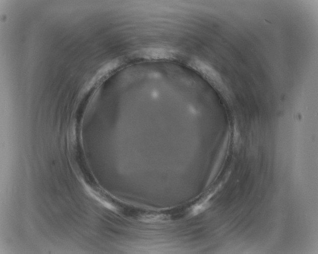 X0000085300202200703231907