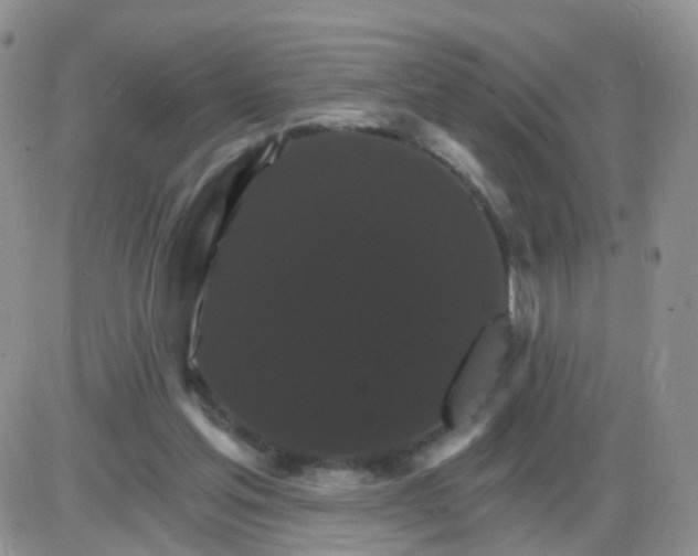 X0000085300205200703231907