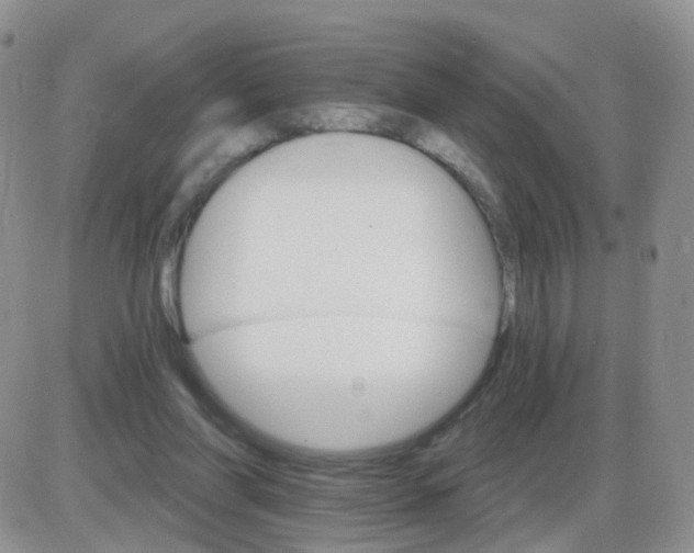 X0000085300206200703231907