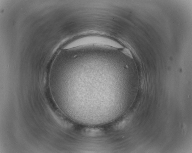 X0000085300208200703231906