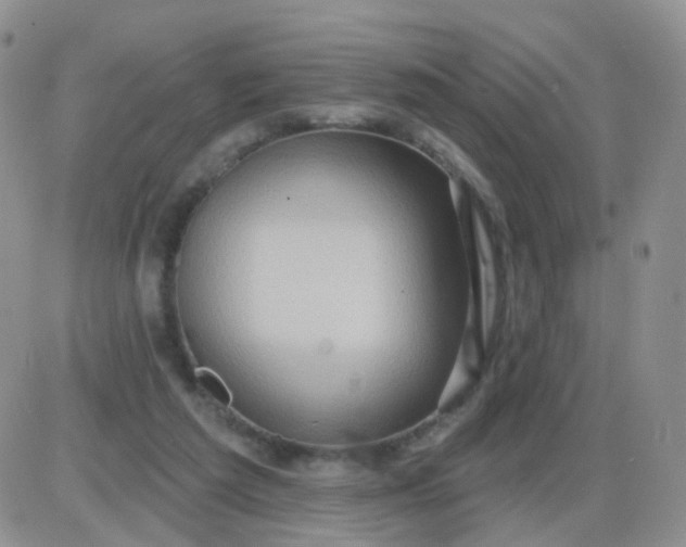 X0000085300209200703231906